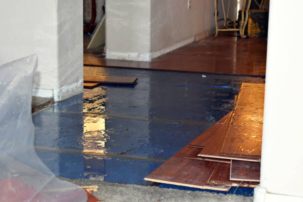 Professional Water Damage Restoration technician working in Vernon, TX